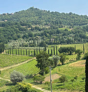 Waarom je nú de Brunello di Montalcino 2019 moet kopen