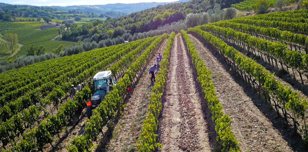 Capanna - Brunello di Montalcino Riserva DOCG - 2019