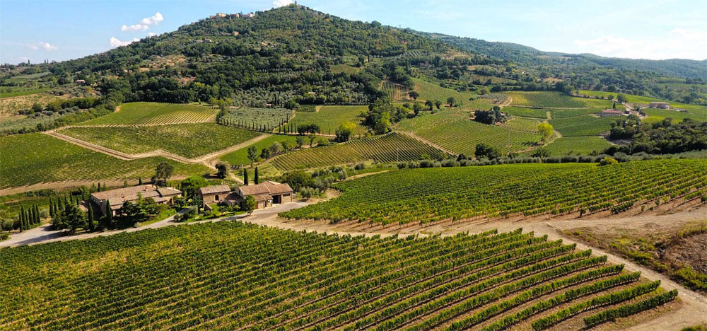 Capanna - Brunello di Montalcino Riserva DOCG - 2019