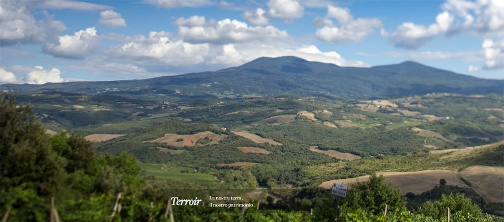 Ciacci Piccolomini d'Aragona - Brunello di Montalcino DOCG - Cru Pianrosso - 2020