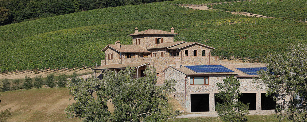Sasso di Sole - Brunello di Montalcino DOCG -2019