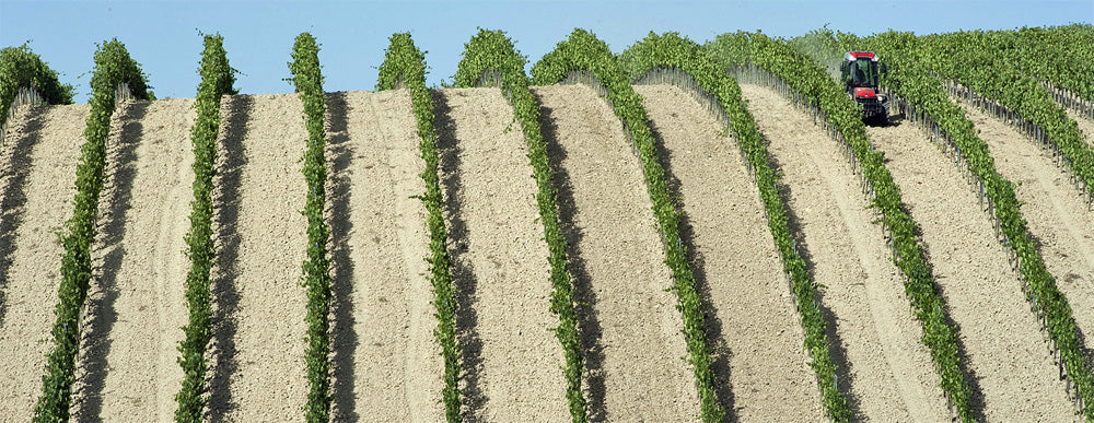 Sasso di Sole - Brunello di Montalcino DOCG -2019