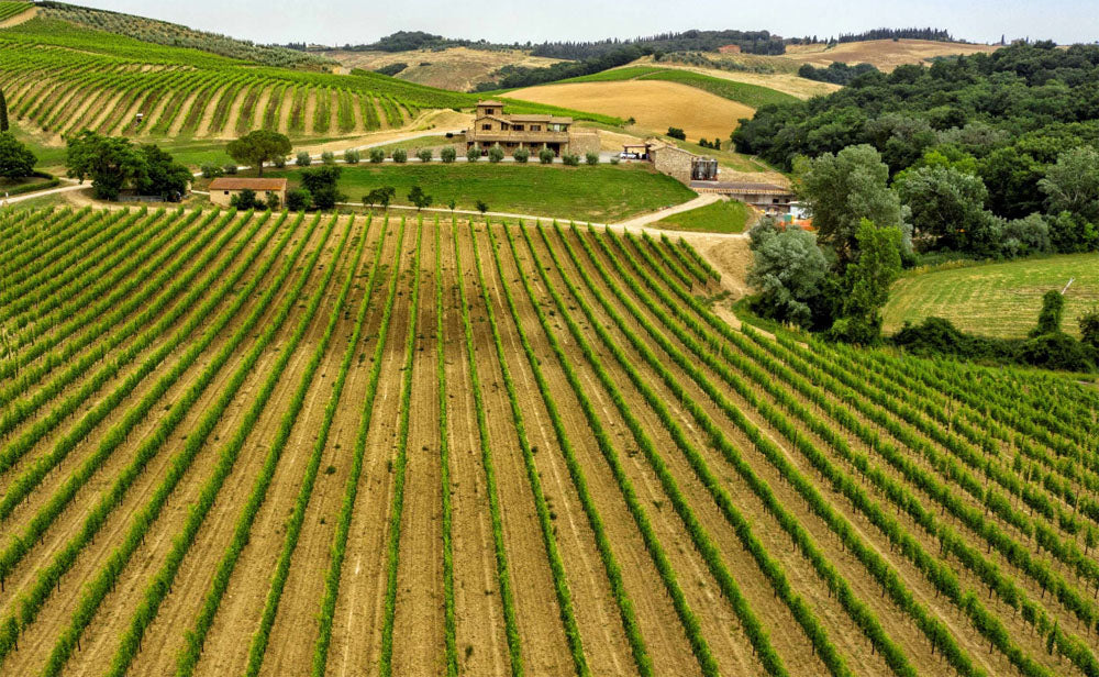 Sasso di Sole - Brunello di Montalcino DOCG -2019