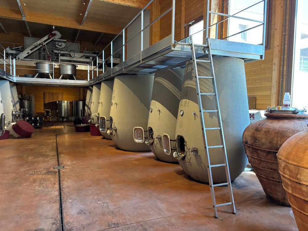 Tassi - Brunello di Montalcino DOCG - 2019