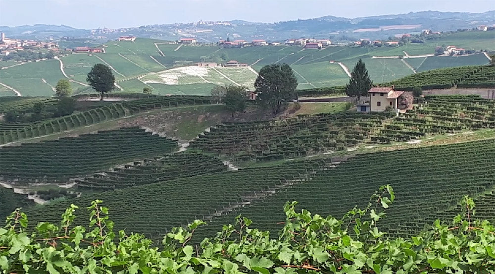 Bartolo Mascarello - Barolo DOCG - Comune di Barolo -  2020