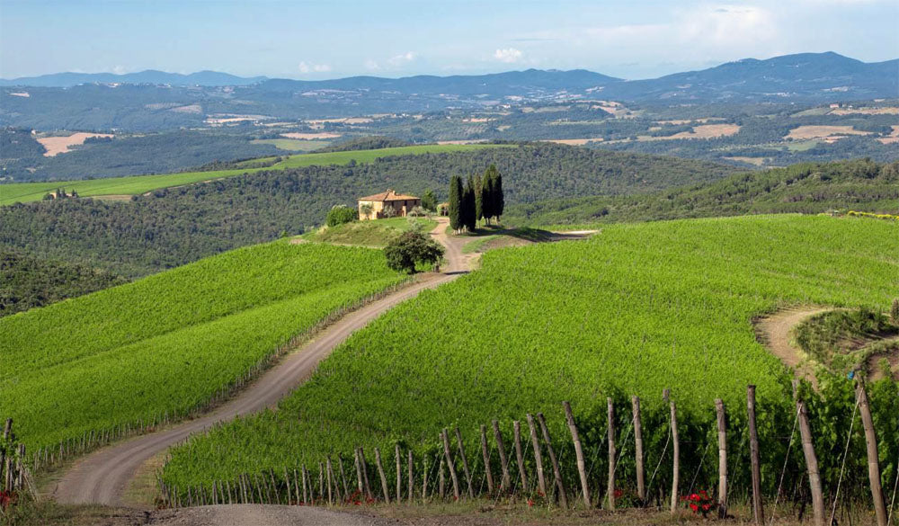 Castiglion del Bosco - Rosso di Montalcino DOC -Gauggiole - 2020
