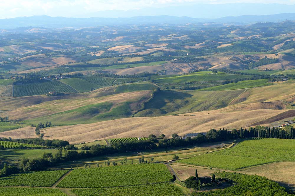 Valdicava - Brunello di Montalcino DOCG - 2019