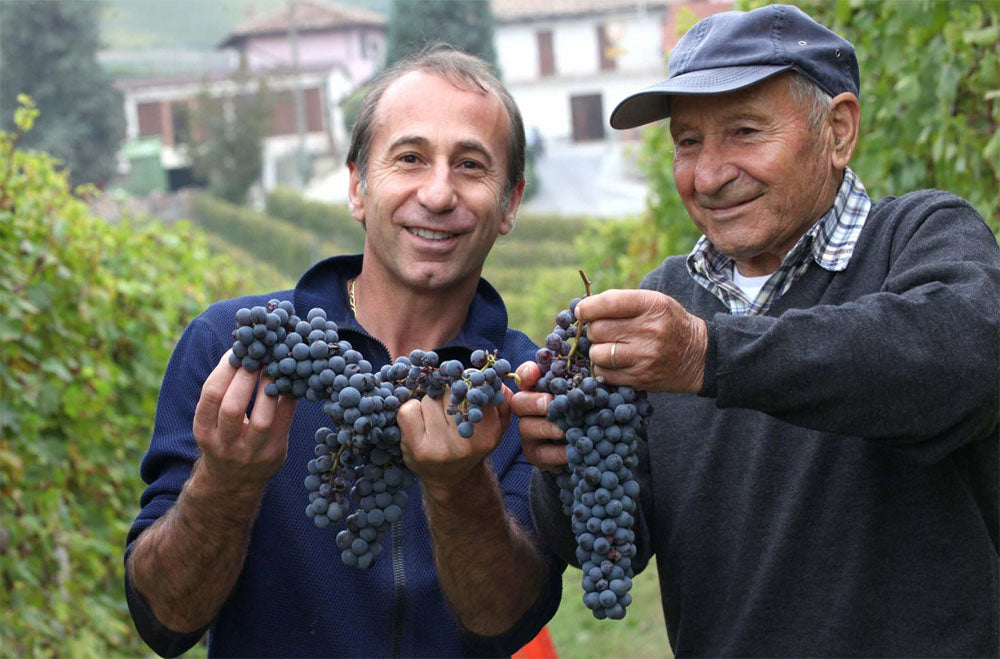 Langhe Nebbiolo vs. Nebbiolo d’Alba: wat is het verschil?