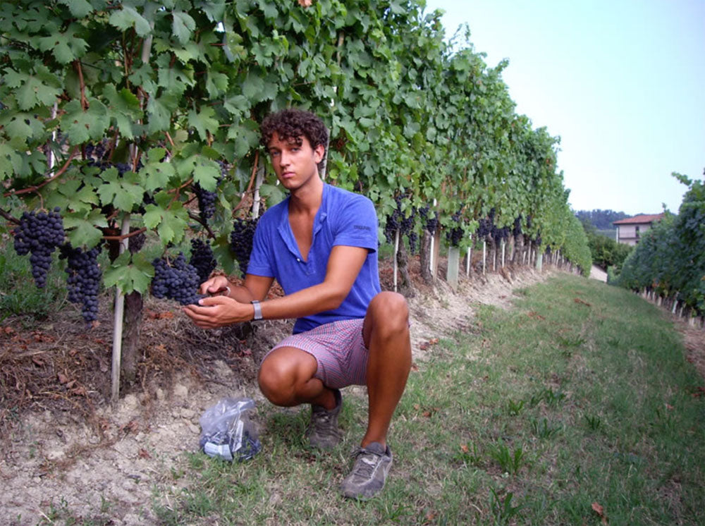 Azelia - Langhe Nebbiolo DOC - 2022 - Castiglione Falletto