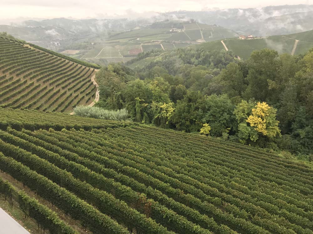 Ettore Germano - Barolo DOCG - Serralunga d'Alba - 2022