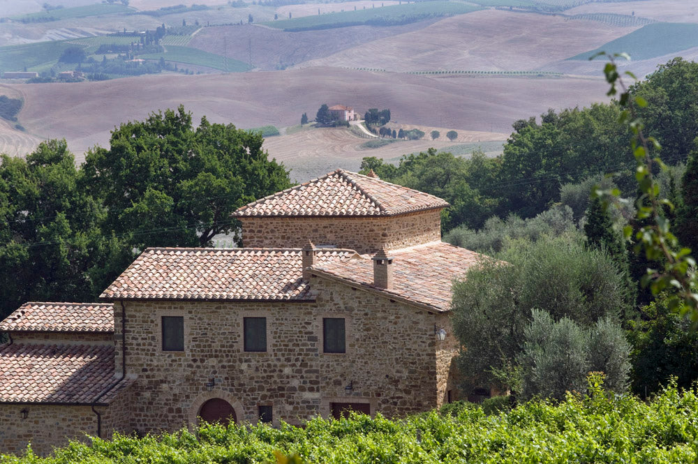 Fuligni - Brunello di Montalcino DOCG - 2019