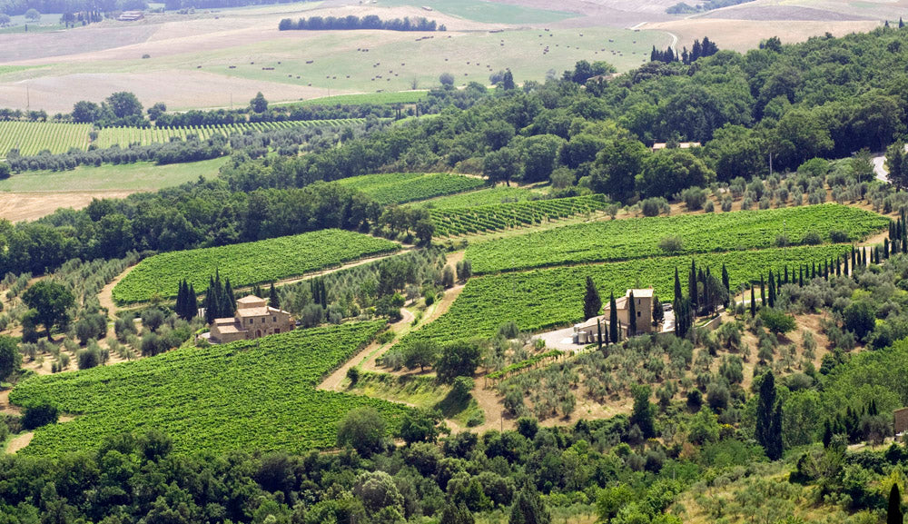 Fuligni - Brunello di Montalcino DOCG - 2019