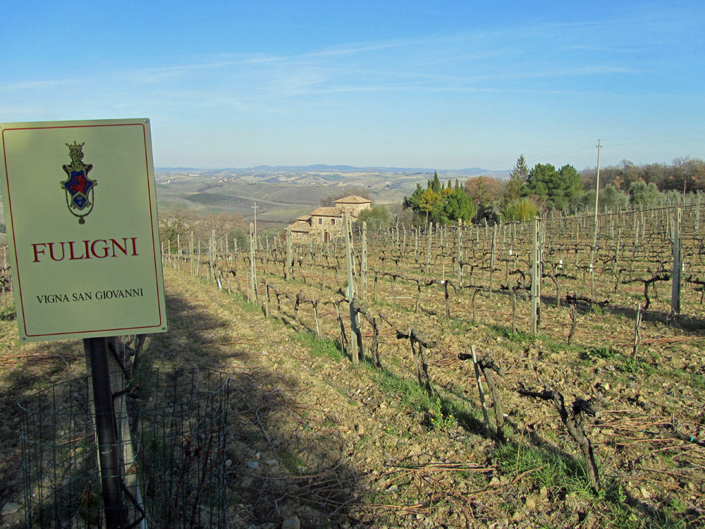 Fuligni - Brunello di Montalcino DOCG - 2019