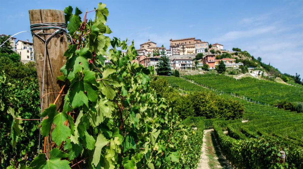 Roberto Voerzio - Barolo DOCG - Comune di Barolo - Cru Fossati