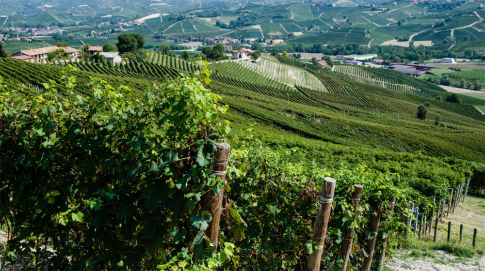 Roberto Voerzio - Barolo DOCG - Comune di Barolo - Cru Fossati