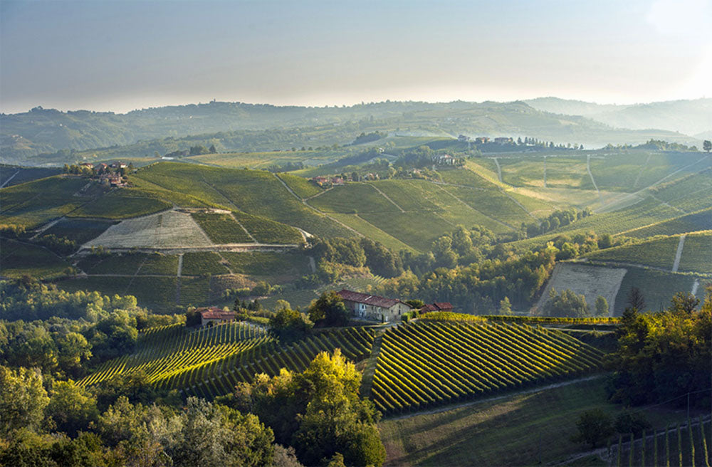 Renzo Seghesio - Barolo DOCG - Monforte d'Alba - Cru Ginestra