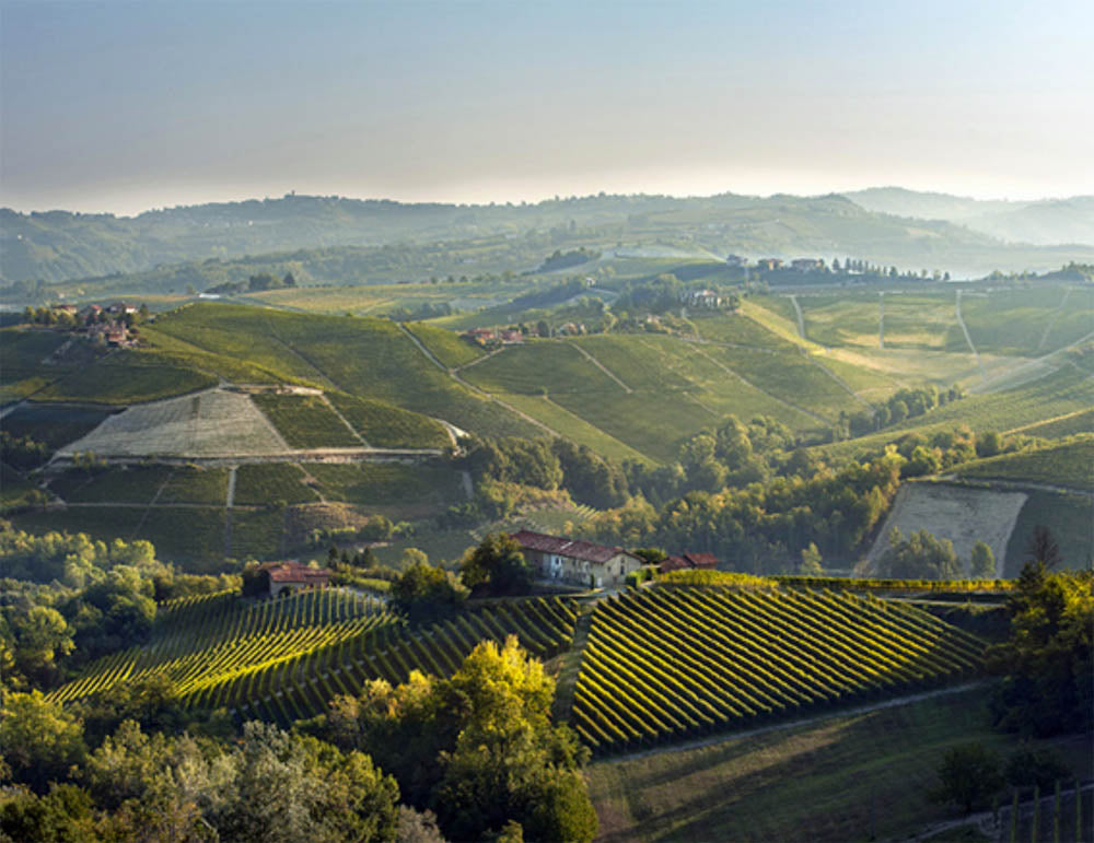 Renzo Seghesio - Barolo DOCG - Cru Pajana 2021